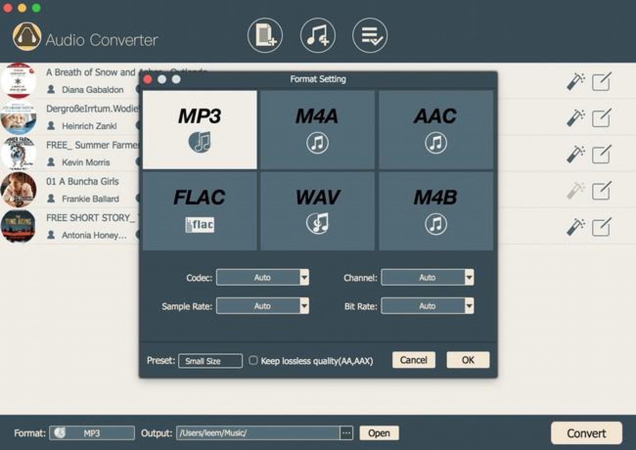 straming audio recorder mac